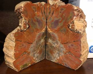 Petrified Wood 