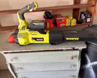 . . . Ryobi electric blower