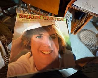 . . . Shaun Cassidy