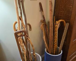 Walking Sticks
