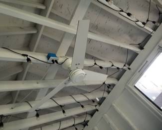 Party lights; ceiling fan