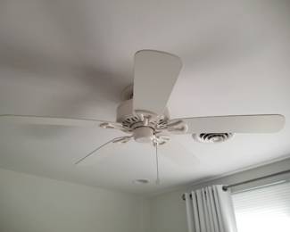 Ceiling fans