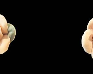 Porcelain Pale Pink Rose Earrings