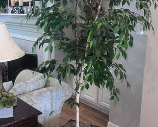 Faux Ficus Tree