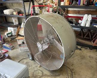 46 LARGE FAN