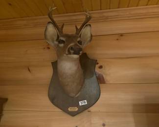 DEER HEAD ON MOUNT
