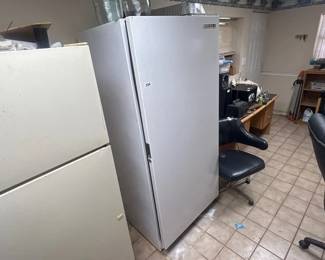 STAND UP FREEZER
