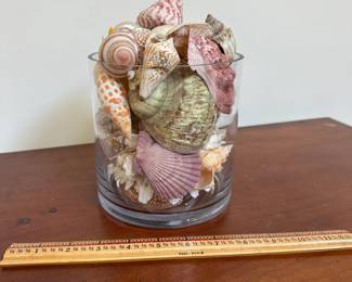 L53 - $30. Glass Container of Shells measure 5.5" wide x 9" tall.