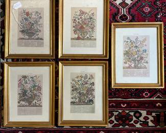 U22 - $75. Set of 5 *Small* Botanical Framed Prints - includes February, July, September, October, and November. Each measures 10.5" wide x 13.75" tall.