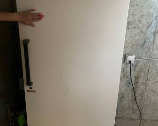 STAND UP FREEZER $90