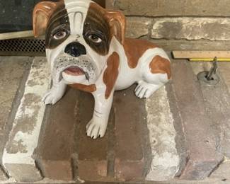 Sad little puppy