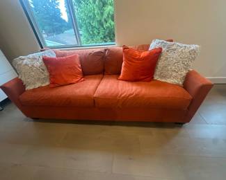 Sleeper sofa