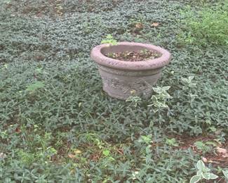 Concrete planter $25