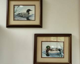 Framed duck watercolor prints by Susan Peifer