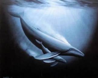 Wyland