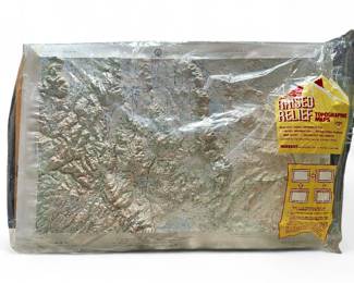 Walker Lake 1969 Hubbard Raised Relief Topographic Map