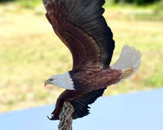 31 LargeMaruriFlyingEagleStatue