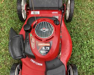 PUSH MOWERS, TROY BILT & CRAFTSMAN SELF PROPELLED