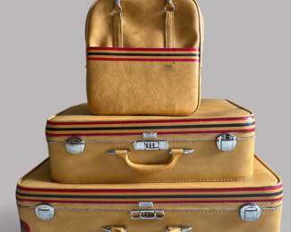 Amelia Airheart Luggage Set 