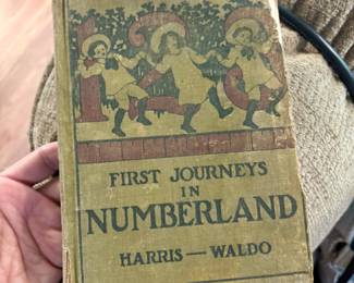 First Journeys In Numberland