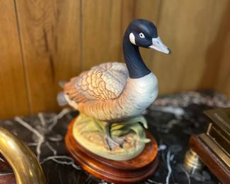 Canadian goose by Andrea
