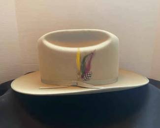 Stetson 3XBeaver Western Hat With Feathers