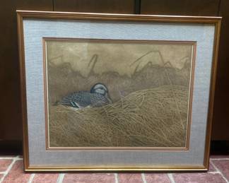 Framed Matted Duck Print Windswept By Yvonne Davis
