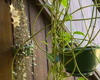 String Or Hearts Pathos Plant And Owl Yard Art