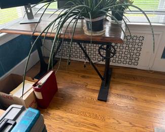 . . . live plant and great work table/desk
