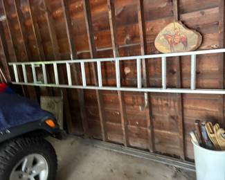 . . . aluminum ladder