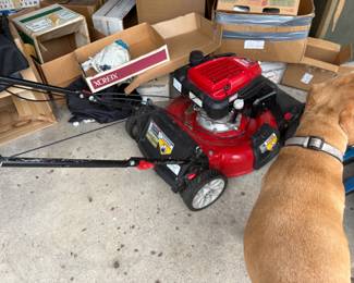 . . . Troy Bilt mower