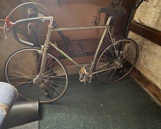 . . . vintage Schwinn bike