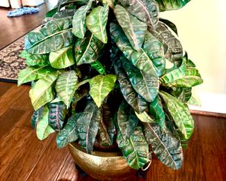 Silk plants