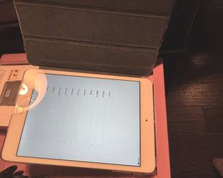 Mini iPad