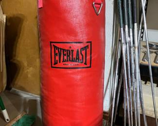Everlast punching bag