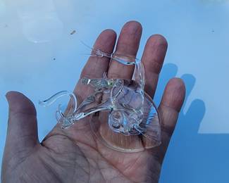 FRAGILE GLASS FROG