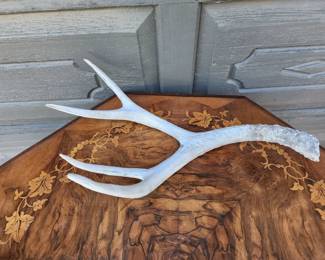 IRON ANTLER