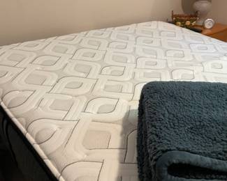 queen adjustable bed, nice & clean
