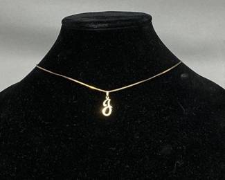 14k Chain and Pendant