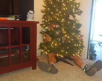 Santa left something a bit strange under the tree. We'll get that cleaned up