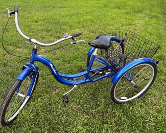 Trike Bike