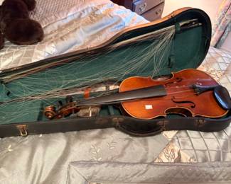 Violin