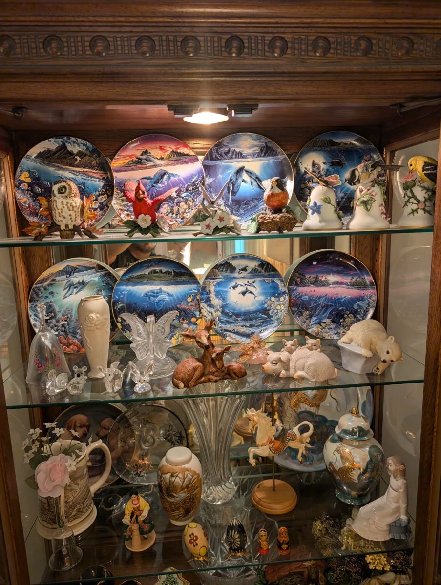 Bird Figurines & Collectable Plates & Lighted Curio Cabinet