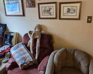 Chairs - Duck Pictures 