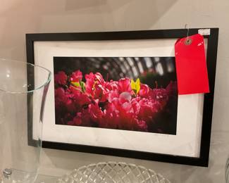 Framed Azalea photograph 18” x 12” $15 + tax