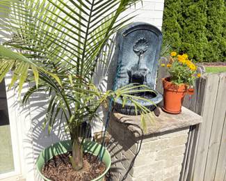 second large, live floor plant