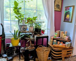 Lots of nice plants as well