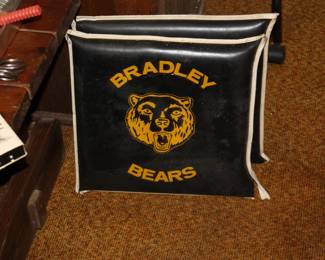 Bradley  Hi seat cushions