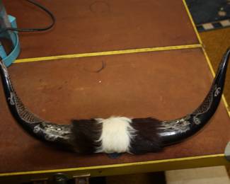 RARE unusual carved bull horns 