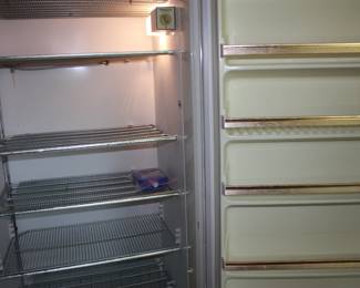 21 Cu. Ft, GE upright freezer